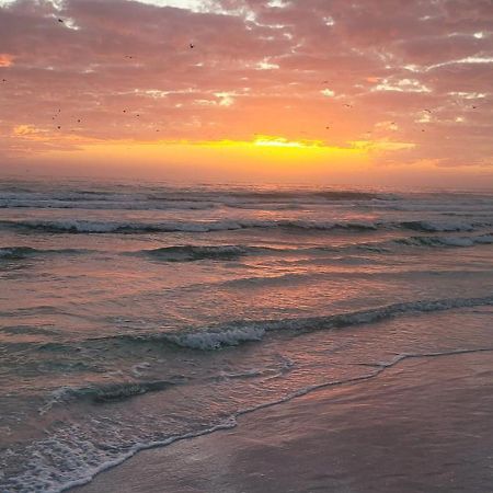 Siesta Key Condo - On The Water ! エクステリア 写真